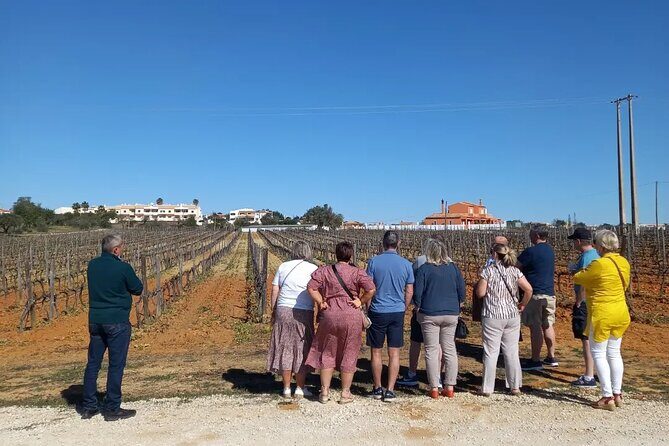 Wine Lovers: Winery Tour w/ Tasting & Tapas (Albufeira/Vilamoura) - Your tasting lineup: four wines plus cheese and charcuterie