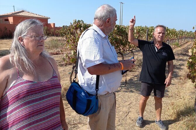 Wine Lovers: Winery Tour w/ Tasting & Tapas (Albufeira/Vilamoura) - The scenic drive: viewpoints, off-road tracks, and town eye-candy
