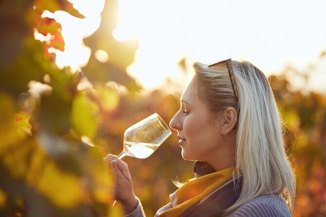 Wine Tasting Tour in Algarve Winery - The wine lineup: Sentidos Tato and friends