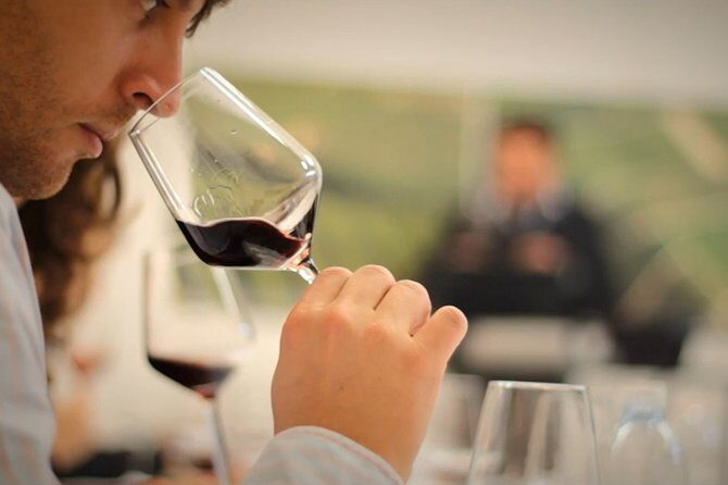 Wine Tasting Tour in Algarve Winery - Who this tour is for (and who should skip it)